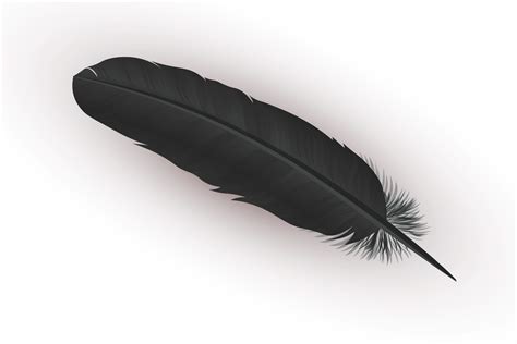 brown feather meaning spirituality|single black feather meaning.